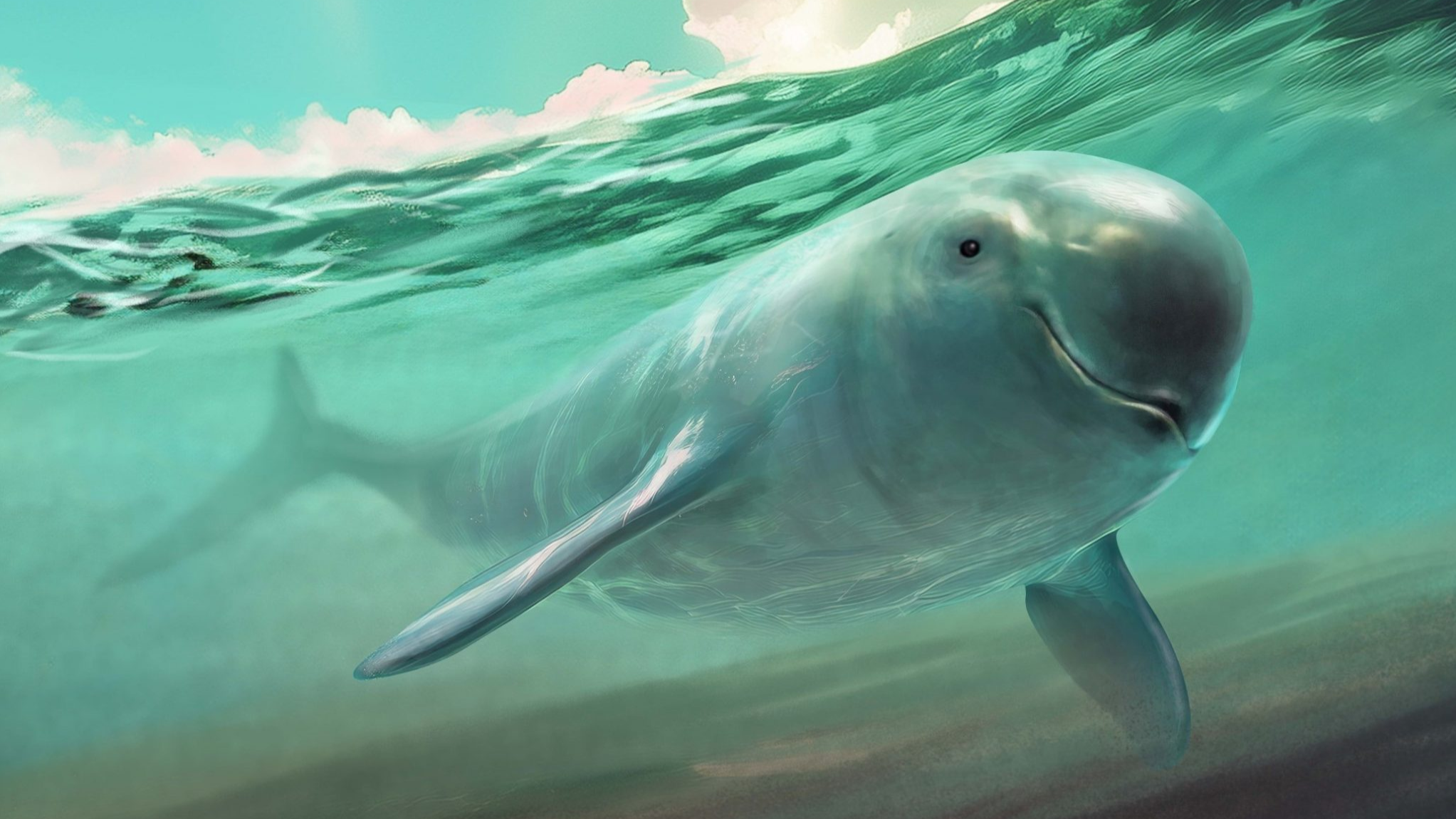 The Future of China’s Finless Porpoise and Marine Biodiversity